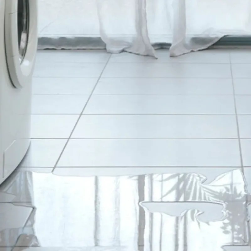Appliance Leak Cleanup in Lewisburg, WV