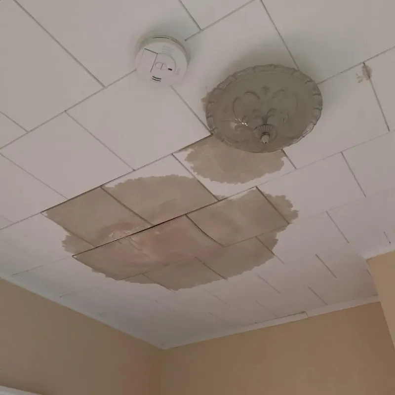 Ceiling Water Damage Repair in Lewisburg, WV