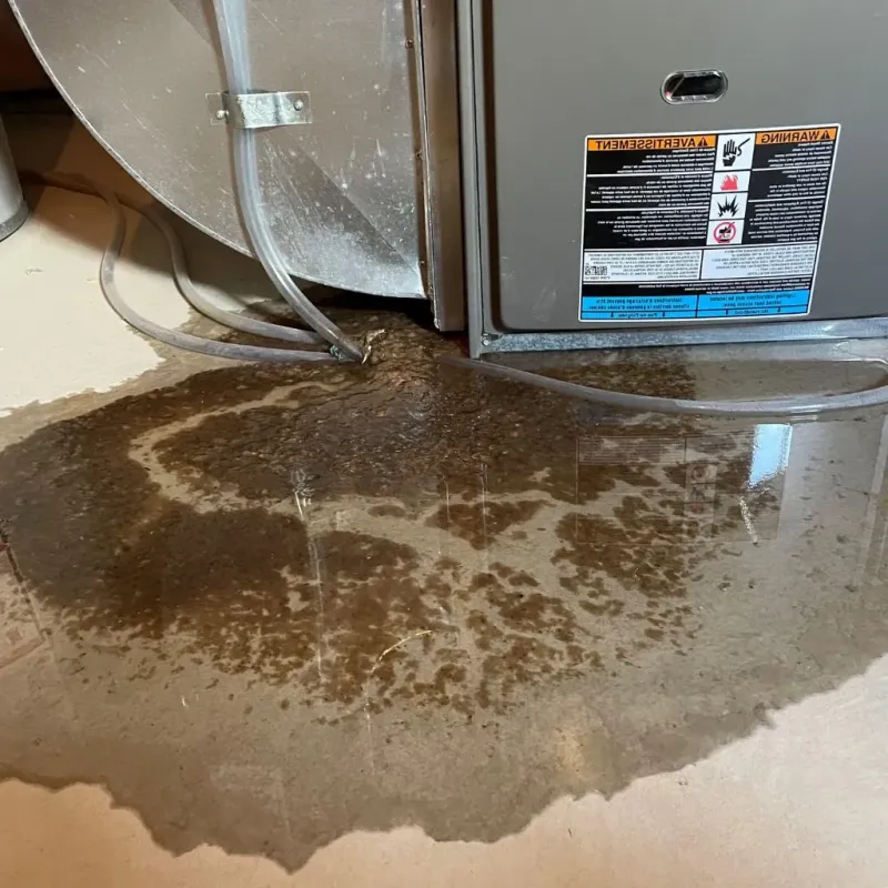 Pipe Burst and Leak Restoration in Lewisburg, WV