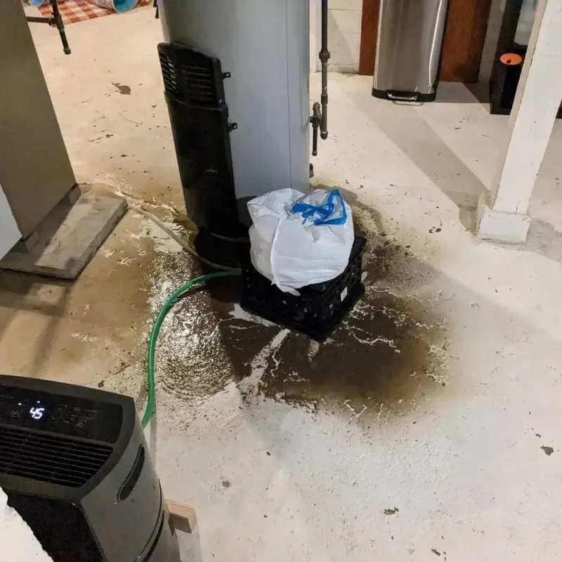Sewage Backup Cleanup Service in Lewisburg, WV
